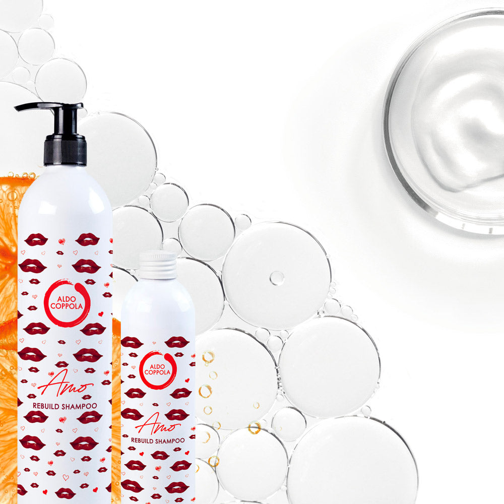 Aldo Coppola Amo  Rebuild Shampoo 250ml [all]