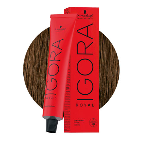 Schwarzkopf Igora Royal 6-5 Rubio Oscuro Dorado 60ml - coloración permanente