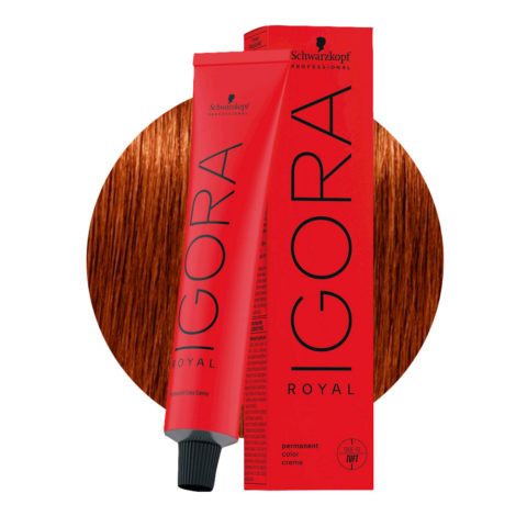 Schwarzkopf Igora Royal 6-77 Rubio Oscuro Cobrizo Extra 60ml - coloración permanente