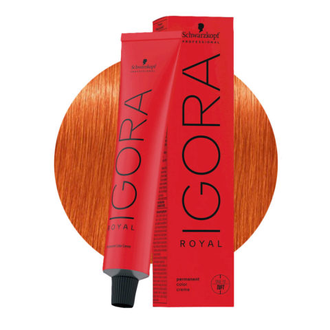 Schwarzkopf Igora Royal MIX 0-77 Concentrado Cobre 60ml - coloración permanente