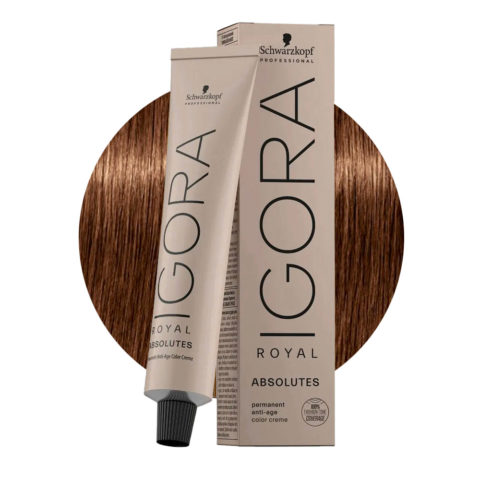 Schwarzkopf Igora Royal Absolutes 6-60 Rubio Oscuro Chocolate Natural 60ml - coloración permanente