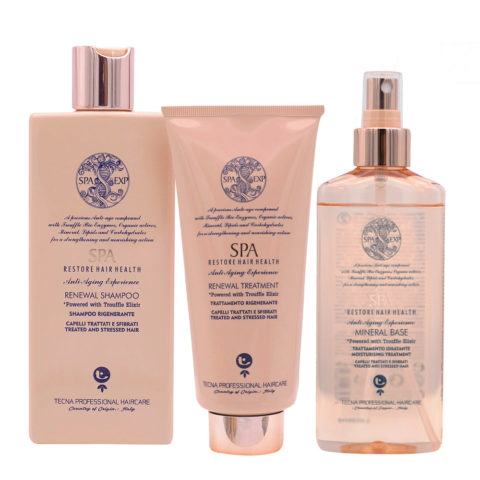Tecna SPA Kit Shampoo 250ml Treatment 200ml Mineral base 200ml