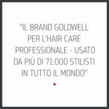 Goldwell Dualsenses Bond Pro Fortifying Shampoo 250ml -champú para cabellos quebradizos y dañados