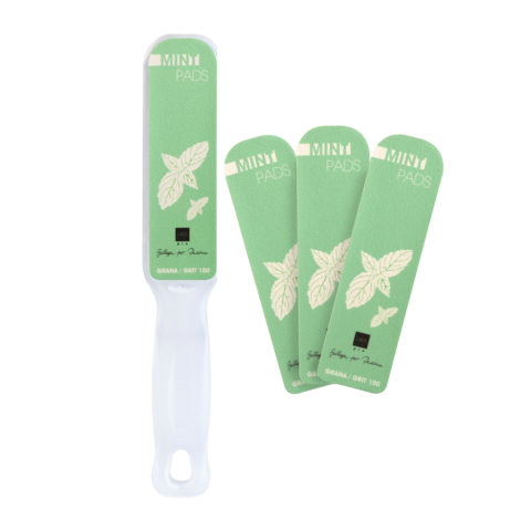Labor Escofina con abrasivos intercambiables G. 100/180 + 10 uds, Aroma de menta