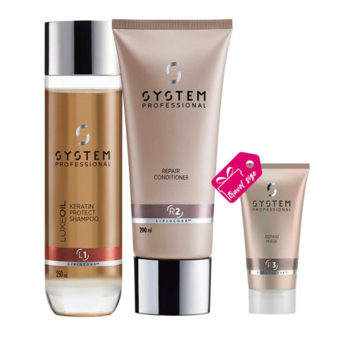 System Professional Basic Routine Para Cabello Dañado