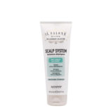Alfaparf Milano Il Salone Scalp System Anti Sebum Shampoo 250ml - champú anti sebo