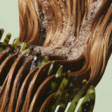 Bumble and bumble. Bb. Seaweed Shampoo 250ml - champú de uso frecuente